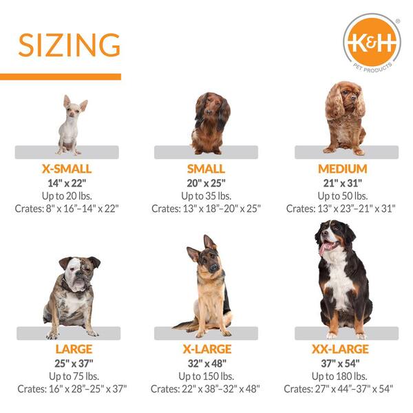 crate size for 20 lb dog