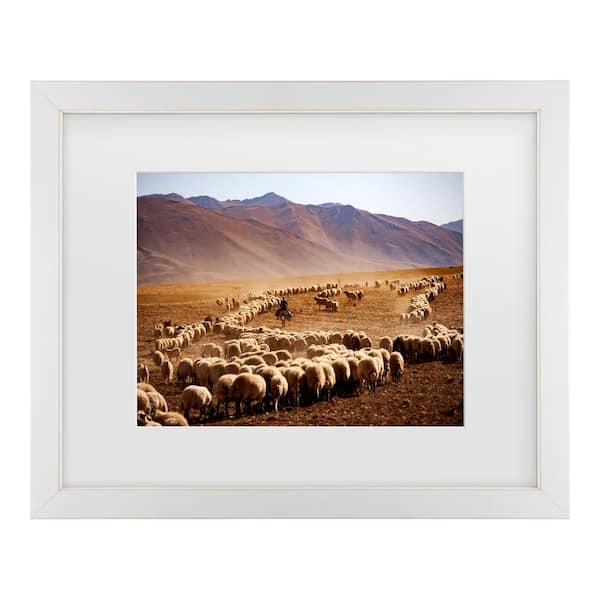 Trademark Fine Art Murat Cacim Desert Sheep Herd Matted Framed Photography Wall Art 13 in. x 16 in.