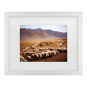 Murat Cacim Desert Sheep Herd Matted Framed Photography Wall Art 18 in. x 22 in.