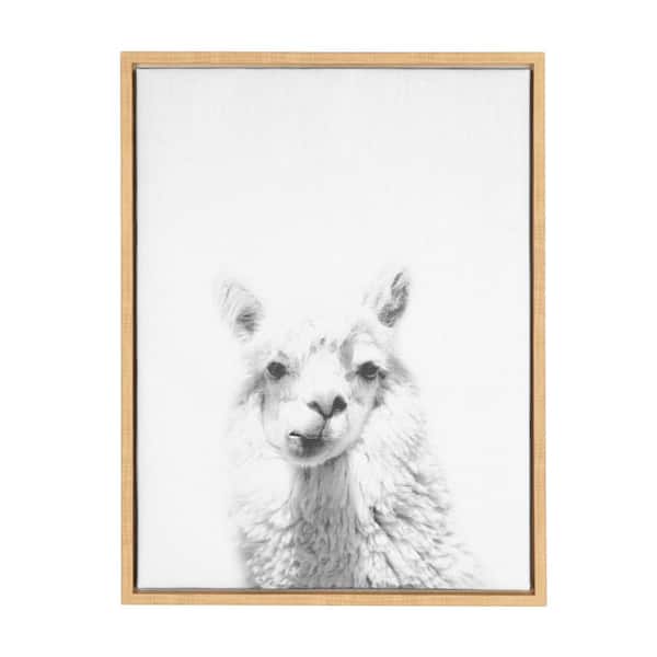 Kate and Laurel 24 in. x 18 in. "Alpaca Portrait" by Tai Prints Framed Canvas Wall Art