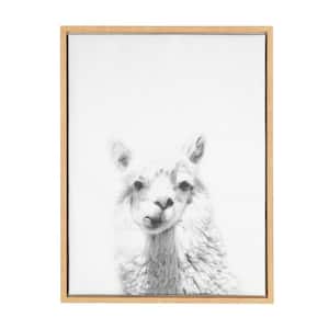 24 in. x 18 in. "Alpaca Portrait" by Tai Prints Framed Canvas Wall Art