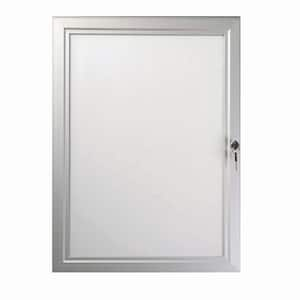 24 in. x 36 in. Silver Locking Poster Case