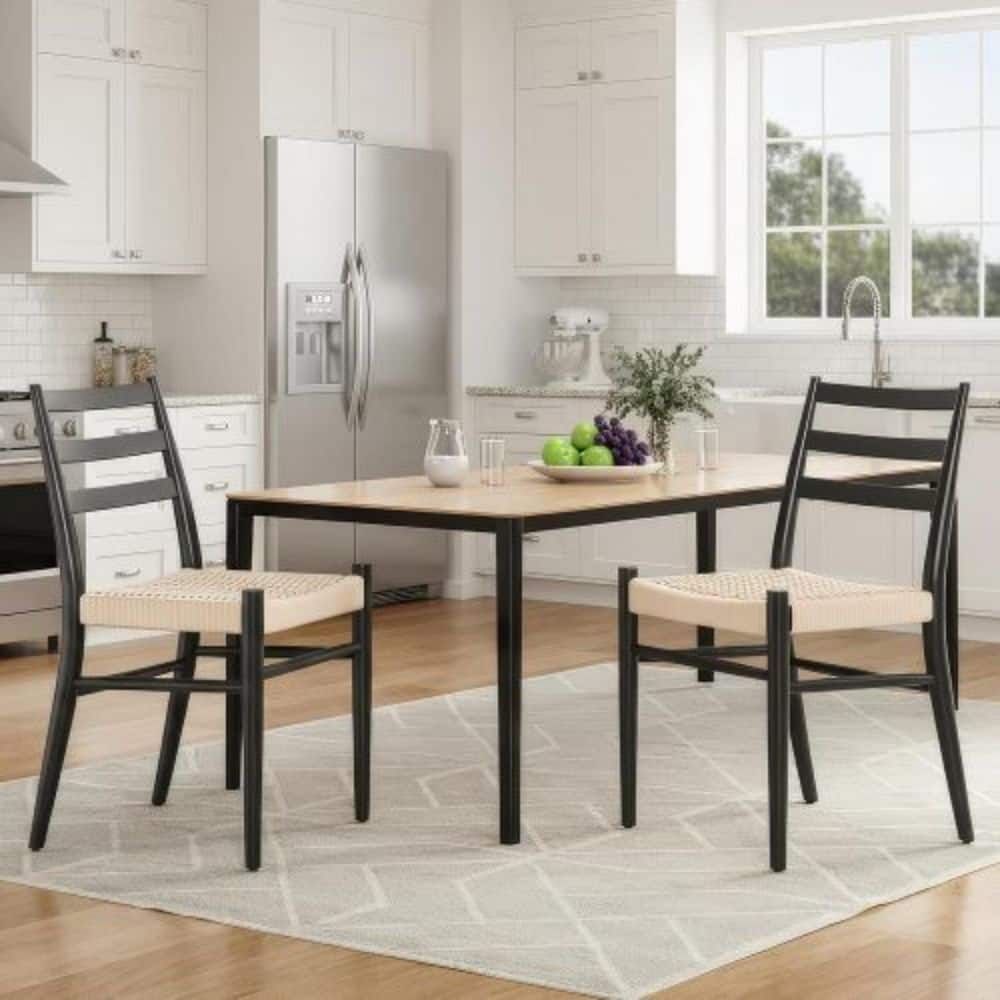 Dining Chairs Set of 2, Woven Rope Seat with Sturdy Metal Frame, Mid Century Modern Dining Room Chairs, Indoor/Outdoor price history on PriceWatchPro