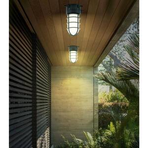 150-Watt Gray Indoor/Outdoor Area Ceiling Mount Incandescent Vapor Tight Light