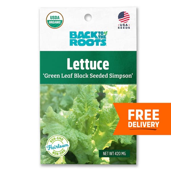 Back to the Roots Organic Green Leaf Black Seeded Simpson Lettuce Seed (1-Pack)