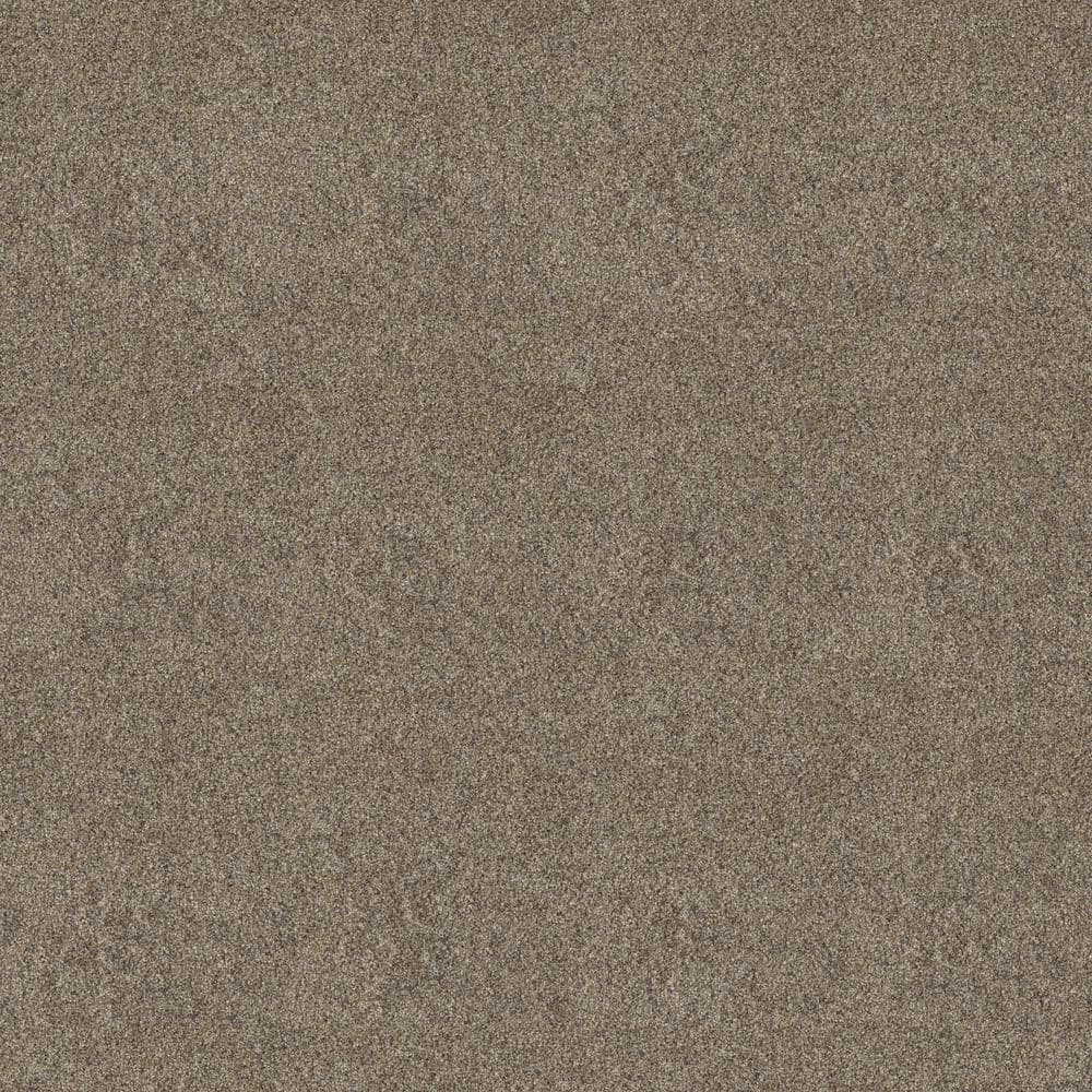 8 in. x 8 in. Texture Carpet Sample - Vacation - Color Stonewall price history on PriceWatchPro