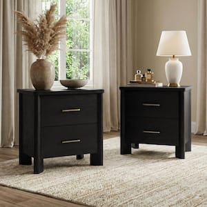 Sofiya Black 2 Drawer 23.4 in. W Nightstand With USB Ports And Ball Bearing Glides Set of 2