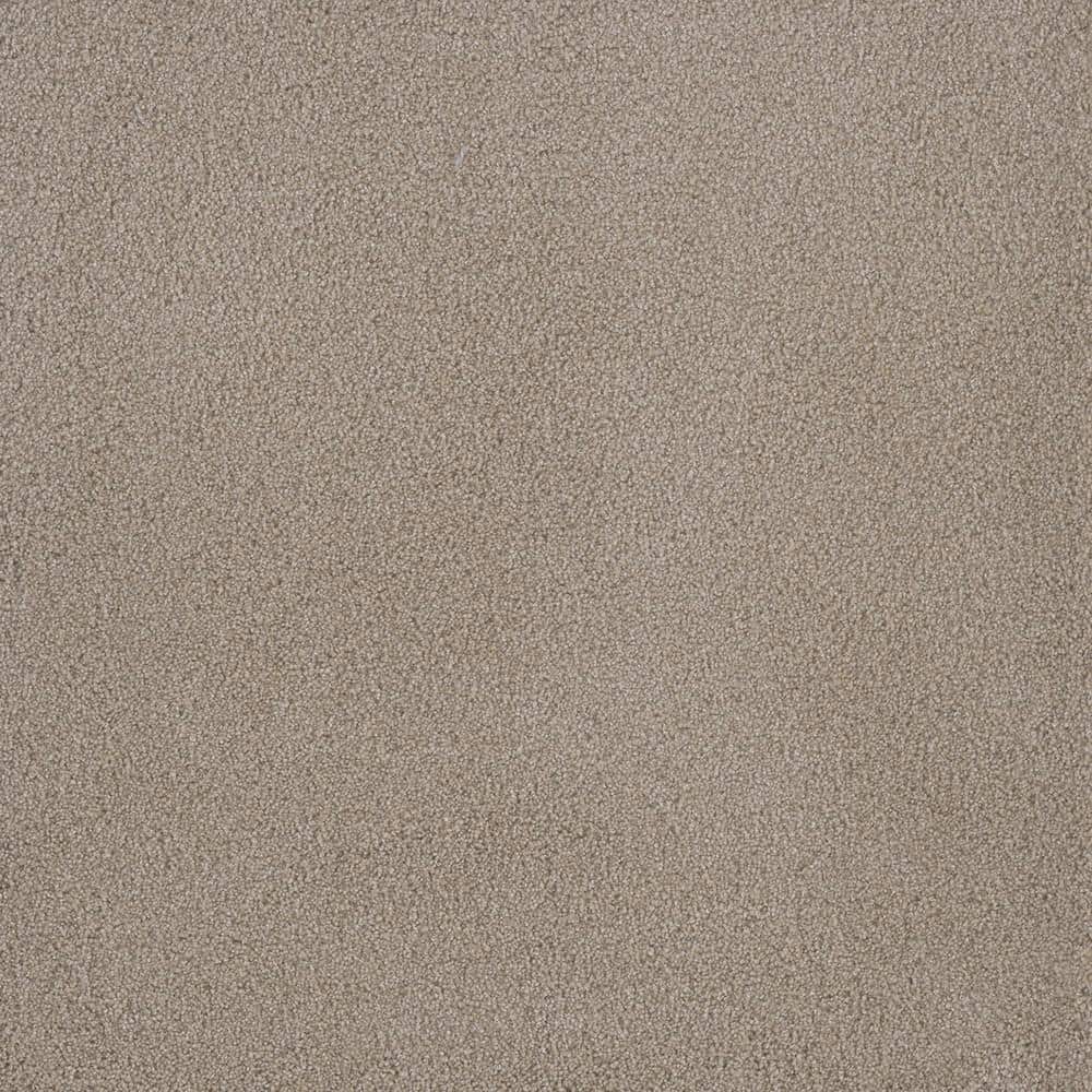 8 in. x 8 in. Texture Carpet Sample - First Class II -Color Haven price history on PriceWatchPro