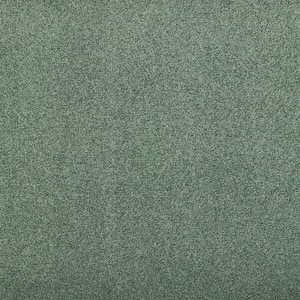 Hainsridge - Atlantis - Green 68 oz. Triexta Texture Installed Carpet