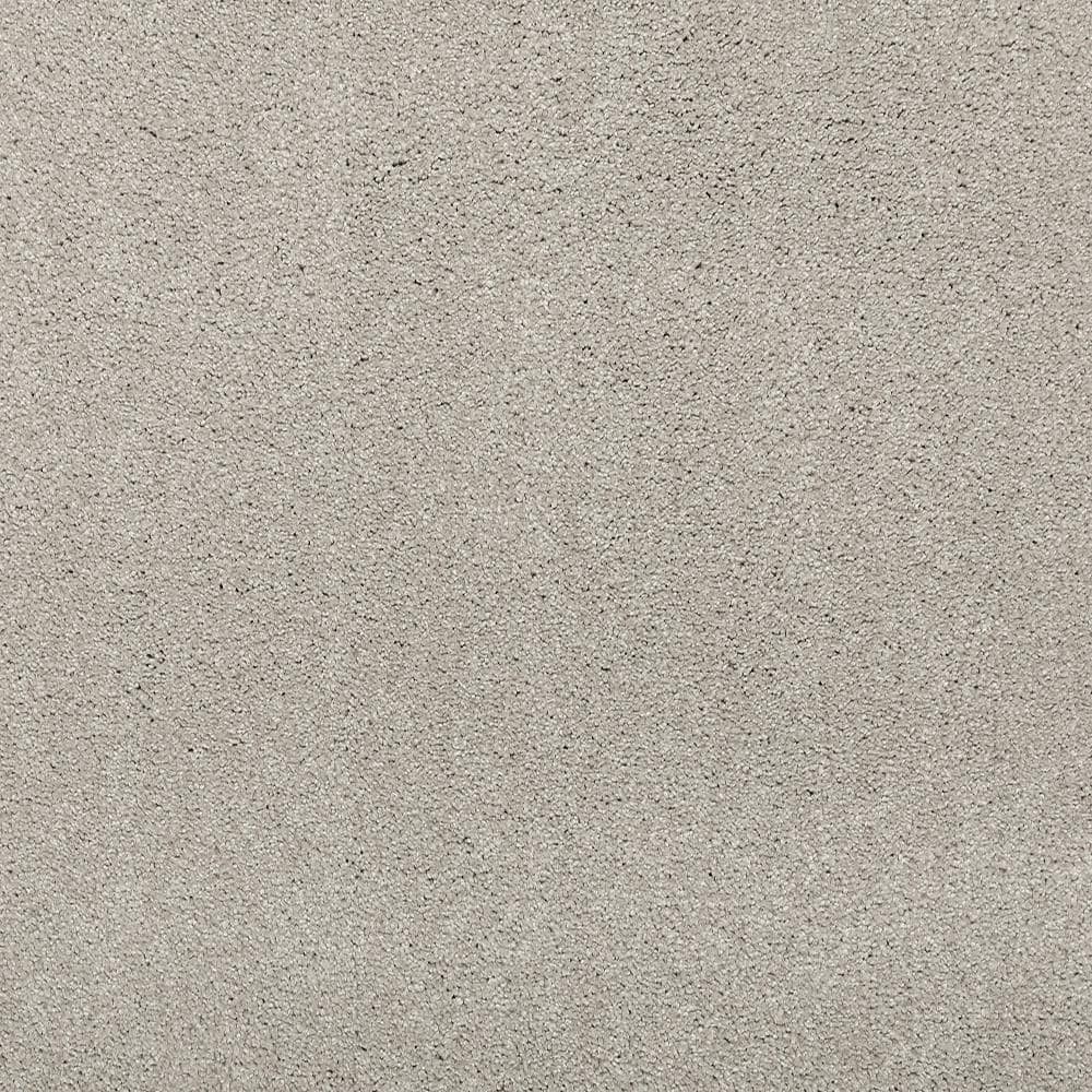 8 in. x 8 in. Texture Carpet Sample - Plush Dreams I -Color Tranquil price history on PriceWatchPro