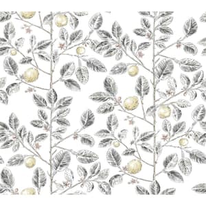 Limoncello Toile Grey Black Wallpaper Roll