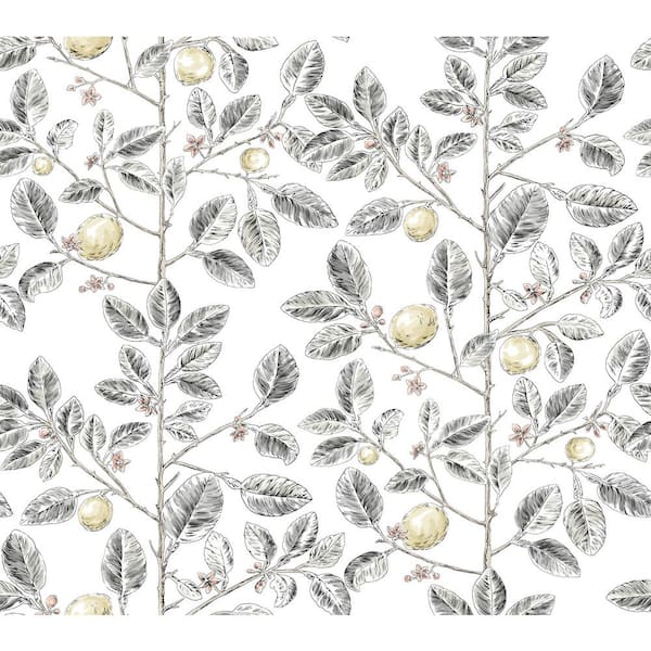 York Wallcoverings Limoncello Toile Grey Black Wallpaper Roll