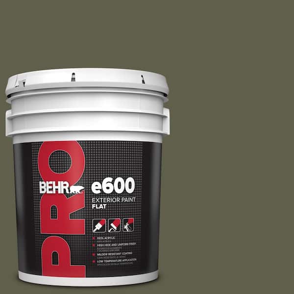 5 gal. #MQ6-58 Fig Tree Flat Exterior Paint