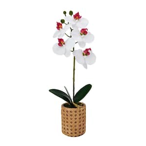 Real Touch 16 in. White/Pink Artificial Orchid Embossed Cement Pot, Single Branch