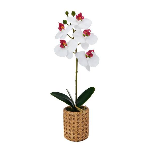 Mikasa Real Touch 16 in. White/Pink Artificial Orchid Embossed Cement Pot, Single Branch