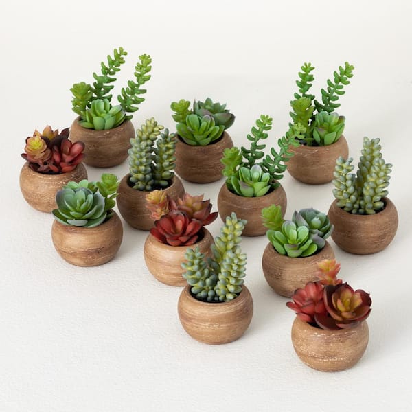 SULLIVANS 3 in. and 4 in. Artificial Mini Potted Succulent - Set of 12; Multicolor