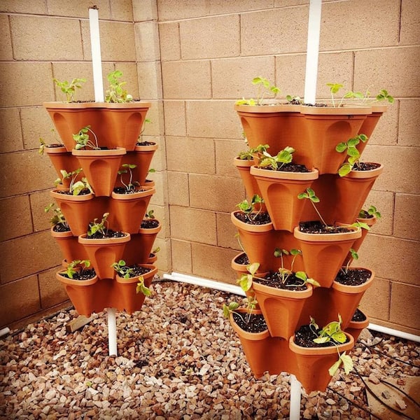 5-Tier Plastic Strawberry and Herb Garden Planters D007TFTXAC