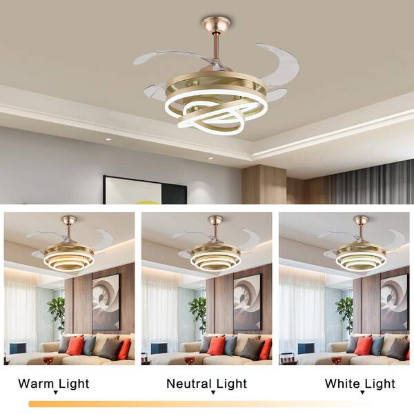 Indoor Gold Modern Ceiling Fan, Lucite And Gold Ceiling Fan