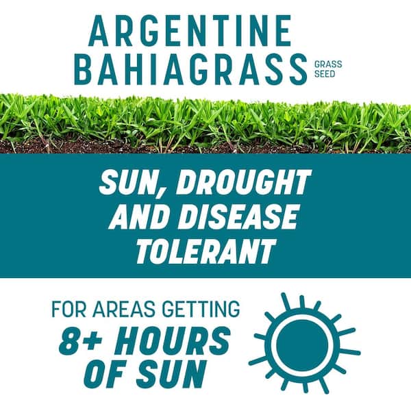 Argentine Bahiagrass 7 lb. 1,400 sq. ft. Grass Seed