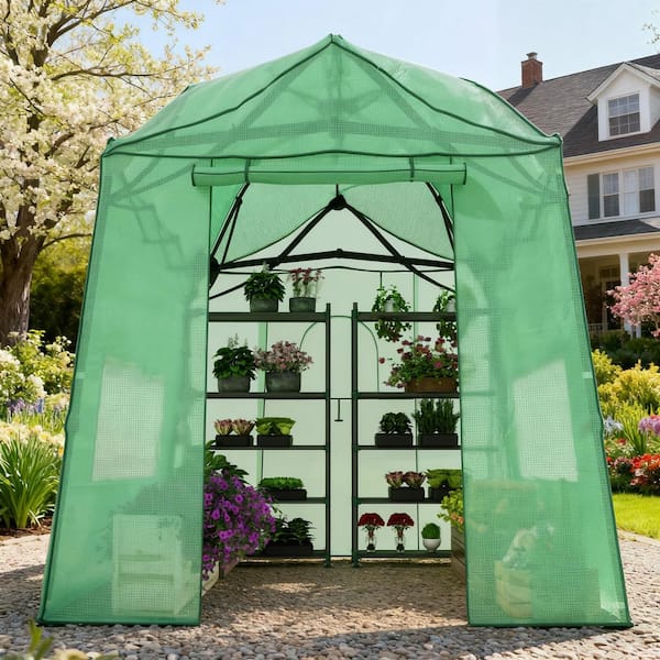 LATTOY Walk-In Greenhouse 8.5 ft. W x 7 ft. D x 7 ft. H Portable Plant Greenhouse, Green