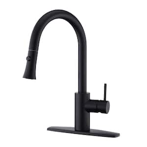 Euro Single-Handle Pull-Down Sprayer Kitchen Faucet with Accessories in Rust and Spot Resist in Matte Black