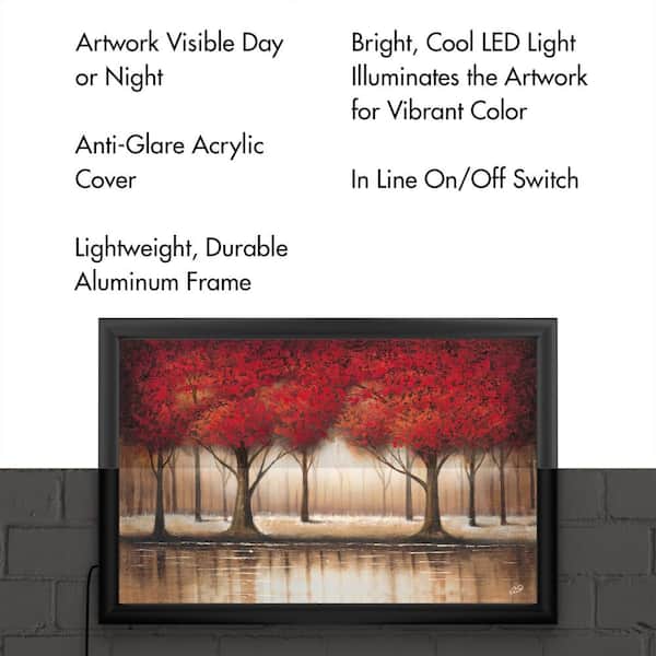 LED Artwork, luminous paintings, LED paintings