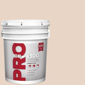 5 gal. #MQ3-37 Soft Shoe Dead Flat Interior Paint