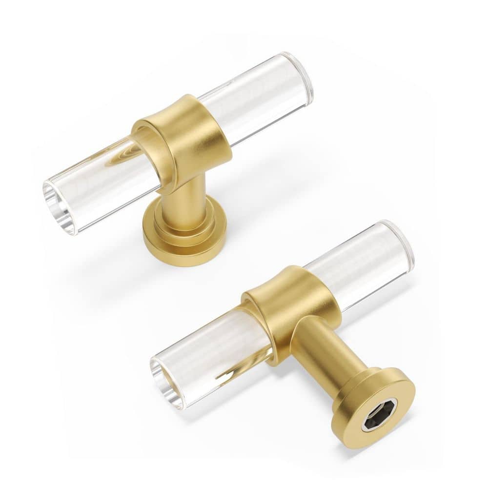 10-Pack 2 in. Single Hole Gold Brushed Brass Cabinet Pulls, Acrylic Drawer Handles with Zinc Alloy Base price history on PriceWatchPro