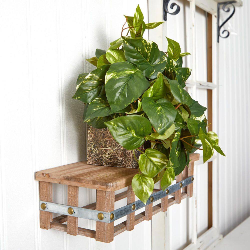 Elegant Pothos Silk Tabletop Plant in Compact Plastic