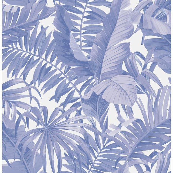 Periwinkle by A Street Prints  Blue  Wallpaper  Wallpaper Direct