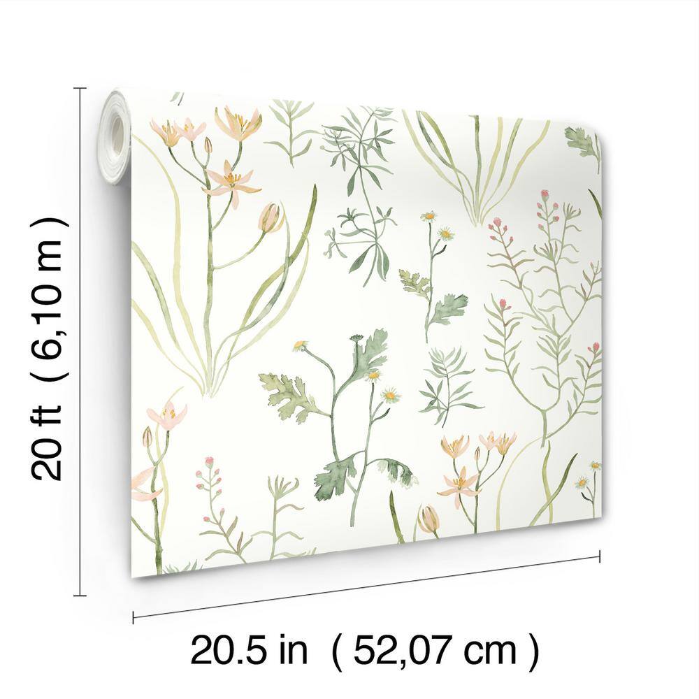 Peach and Orange Botanical Peel & Stick Wallpaper Roll