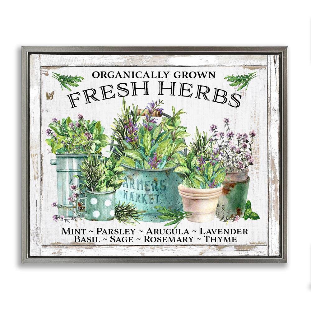 Organic Fresh Herbs by Creatif Belle Gray Floater Frame Nature Graphic Art Print 17 in. x 21 in. price history on PriceWatchPro