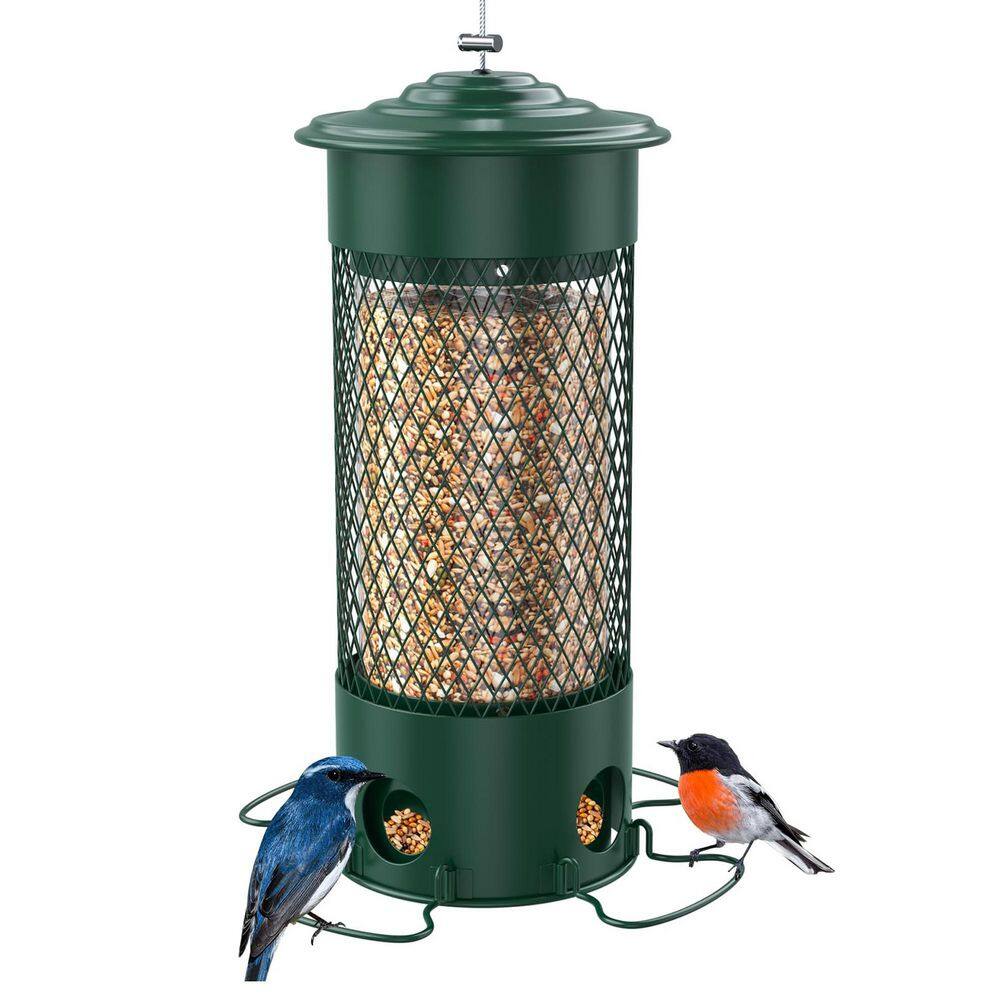 Green Metal Hanging Weatherproof Squirrel Proof Bird Feeder for Finch Cardinal Blue Jay Chickadee 3LB with 4 Perches price history on PriceWatchPro