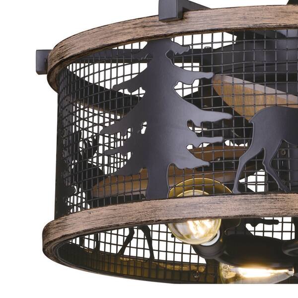 VAXCEL Kodiak 21 in. Black and Burnished Teak, Anigre Blades