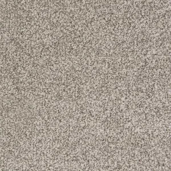 8 in. x 8 in. Texture Carpet Sample-Lurelin-Color Peaceful