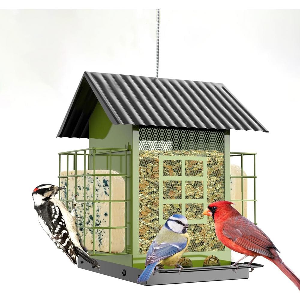 Green Metal Hanging Bird Feeder with Double Suet Cage