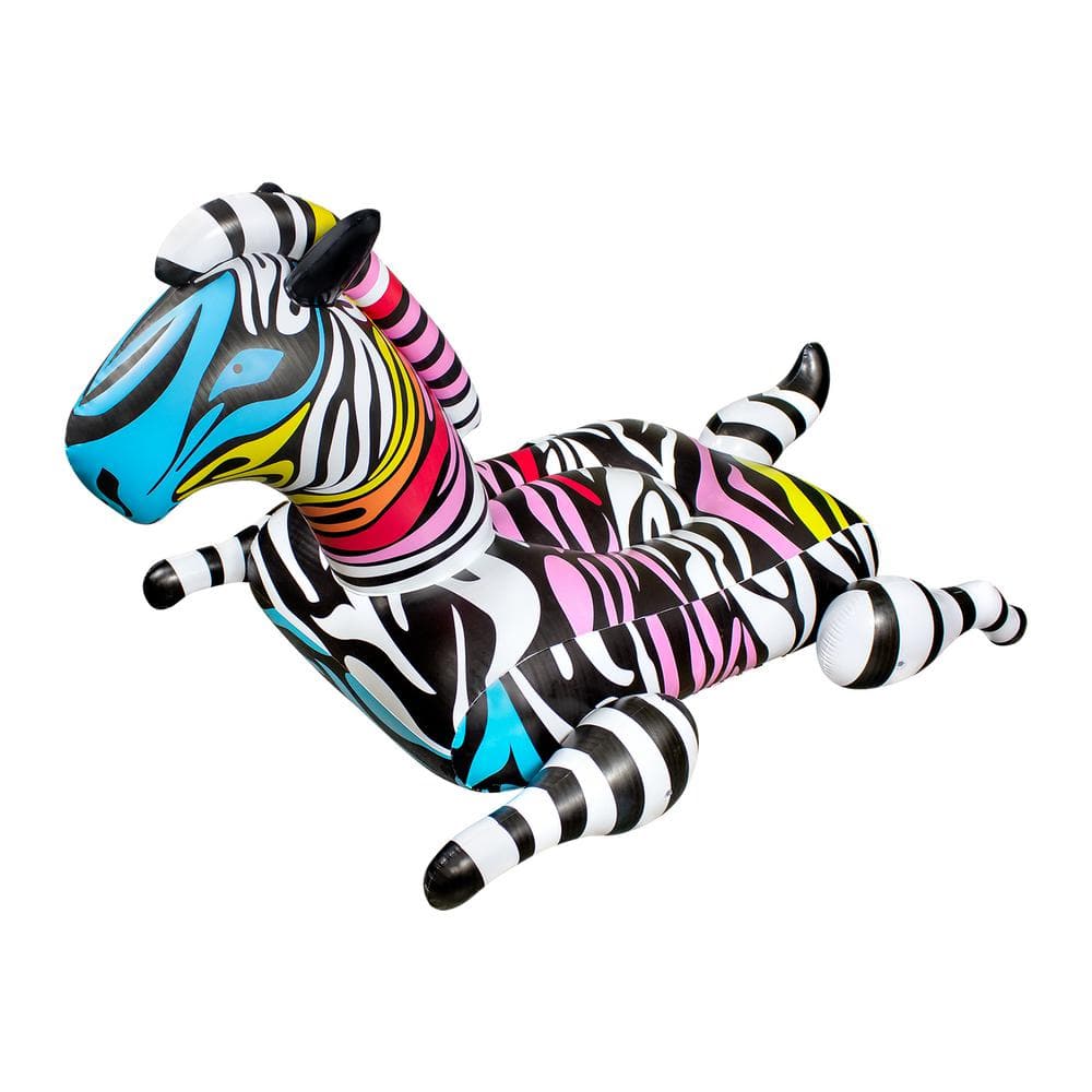 zebra intimidation