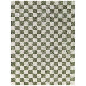 Havill Green 8 ft. x 10 ft. Checkered Area Rug