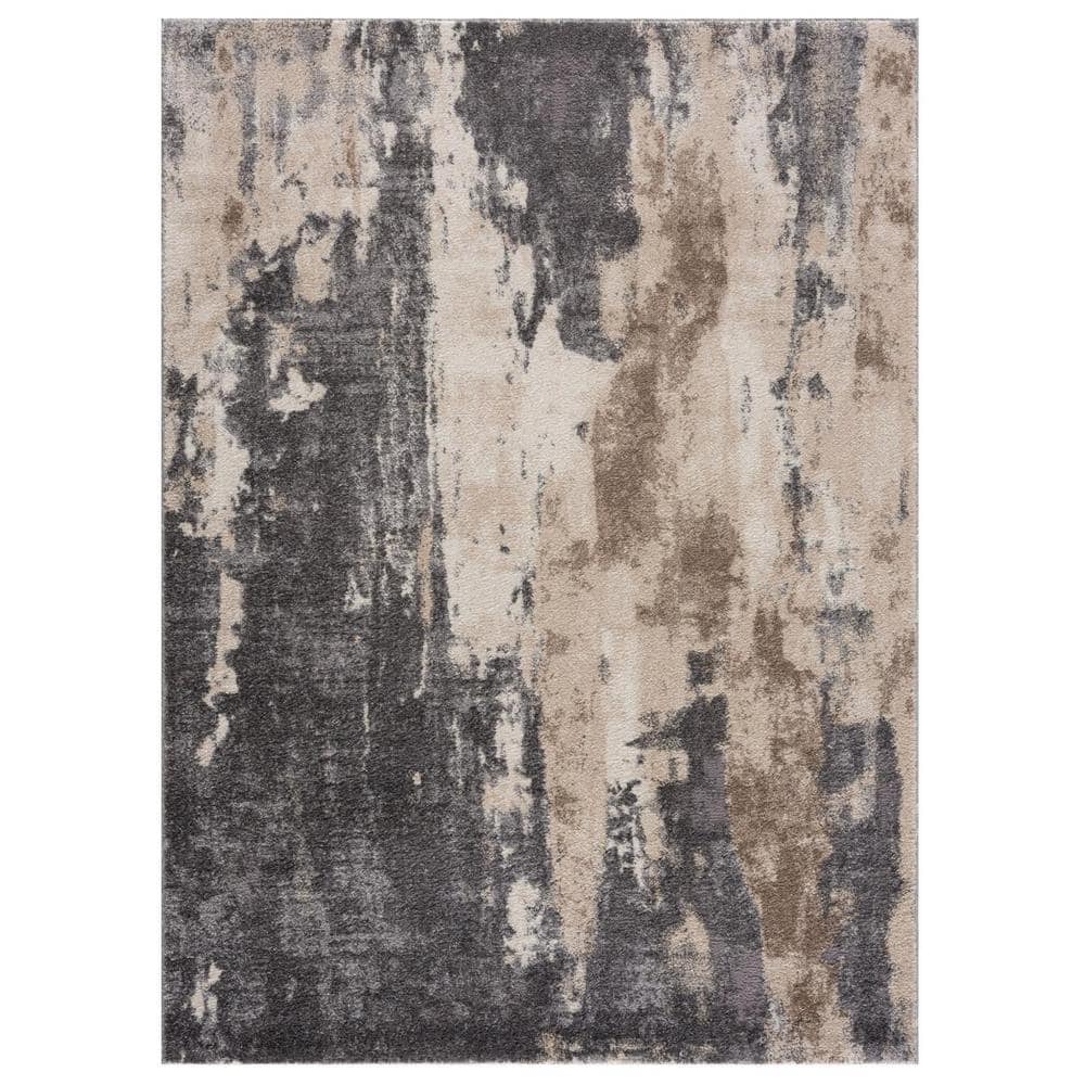 Area Rugs 5x7 Modern Living Room 8x10 Large Bedroom Carpet, Kitchen Rug,2x3,6x9