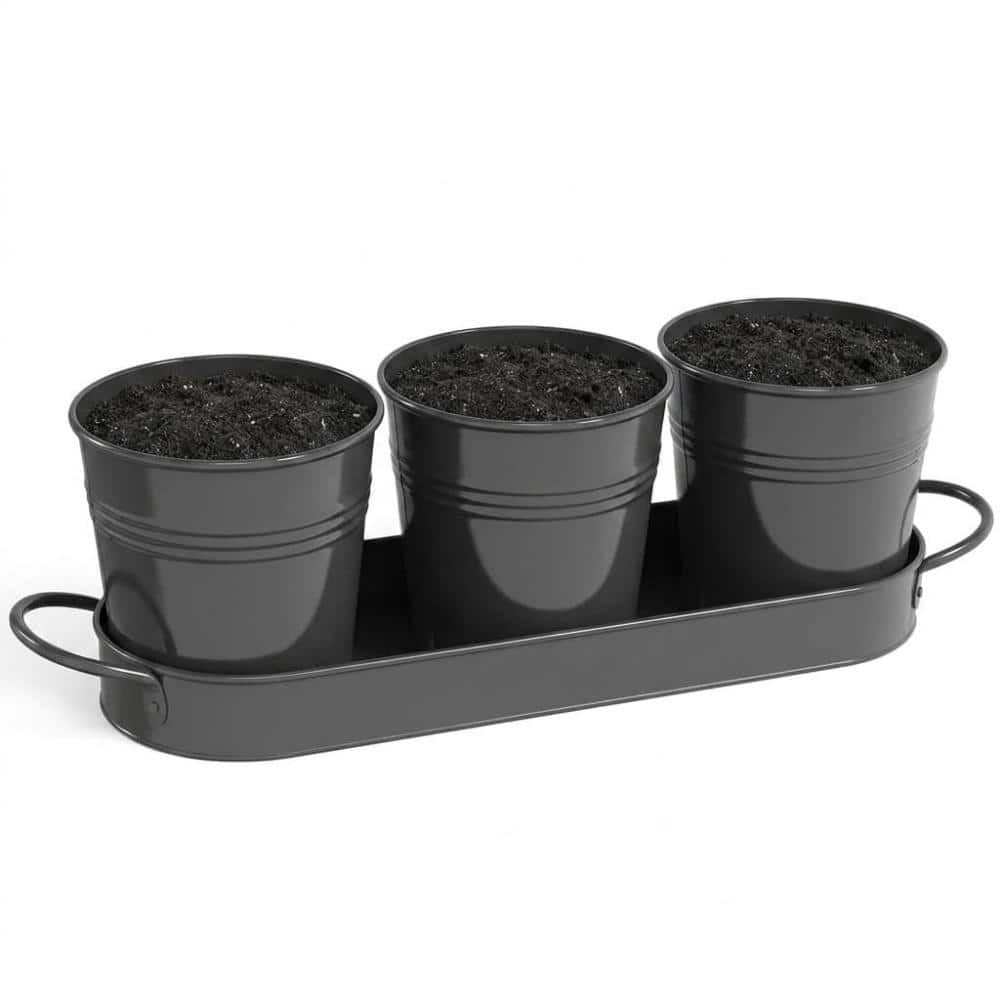 "4"" Black Metal 3 Pack Herb Pots with Tray & Drainage, Windowsill Indoor Outdoor Planters" price history on PriceWatchPro