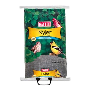 20 lb. Nyjer Songbird Nyger Thistle Seed Wild Bird Food