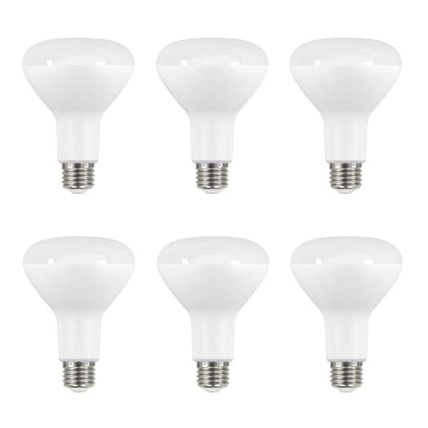EcoSmart 65-Watt Equivalent BR30 Dimmable LED Light Bulb Daylight (6-Pack)