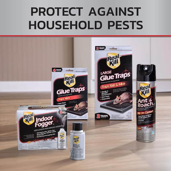 Real-Kill 17.5 oz. Ant and Roach Insect Killer Aerosol Spray HG