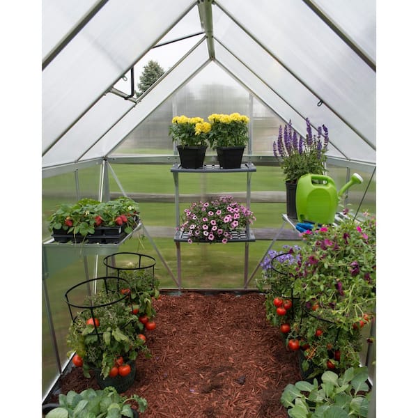 CANOPIA by PALRAM Greenhouse Plastic Shelf- 2 Units 700550 - The