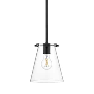 Weybrook 1-Light Matte Black Standard Mini-Pendant with Clear Glass Shade