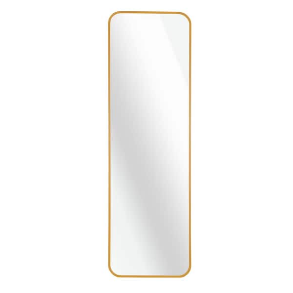 Tidoin 14 in. W x 47 in. H Rectangular Framed Hook Wall Bathroom Vanity Mirror in Gold