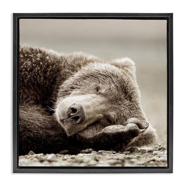 Stupell Industries Cozy Sleeping Bear by Danita Delimont Black Floater ...