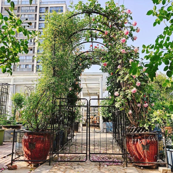 Jushua 79.5 in. W x 86.6 in. H Metal Garden Arch Arbor with Gate