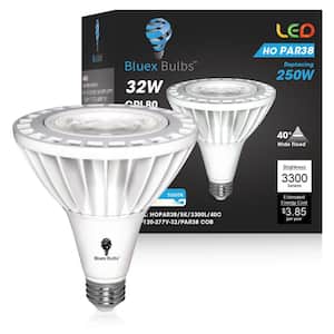 250-Watt Equivalent PAR38 Household Indoor/Outdoor LED Light Bulb in Cool White (1-Pack)