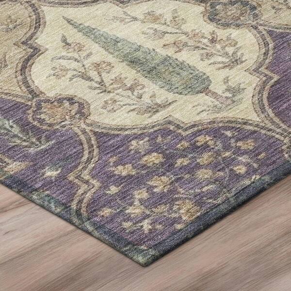 Chantille Machine Washable Indoor/Outdoor Abstract ACN3018 Plum 2 ft. x 7 ft. Runner Rug